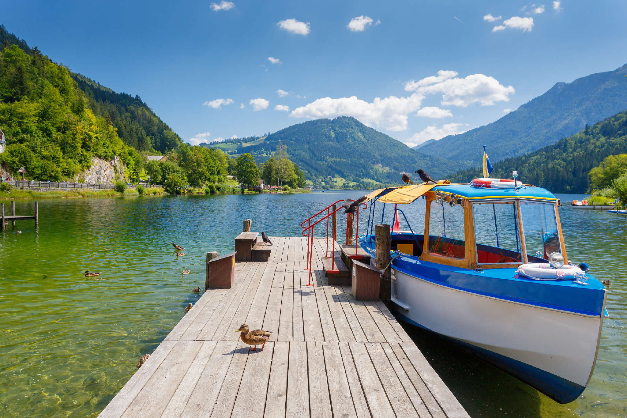 Sommerurlaub am Lunzer See